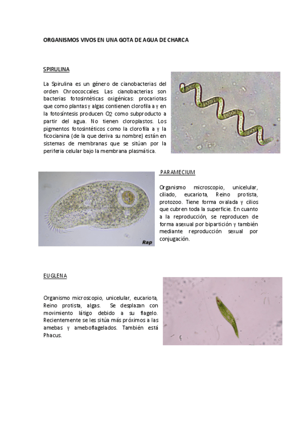 Miniatura del documento AGUA-DE-CHARCA.pdf