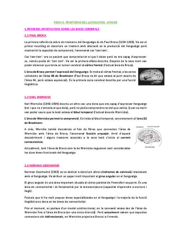 Miniatura del documento TEMA-5-AFASIES.pdf