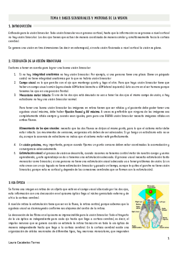 Miniatura del documento Apuntes-Optometria.pdf