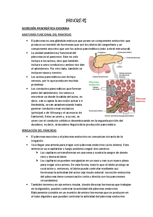 Miniatura del documento PANCREAS-E-HIGADO.pdf