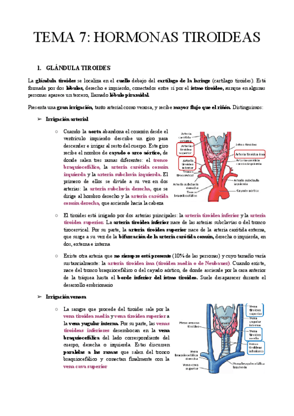 Miniatura del documento TEMA-7-HORMONAS-TIROIDEAS.pdf