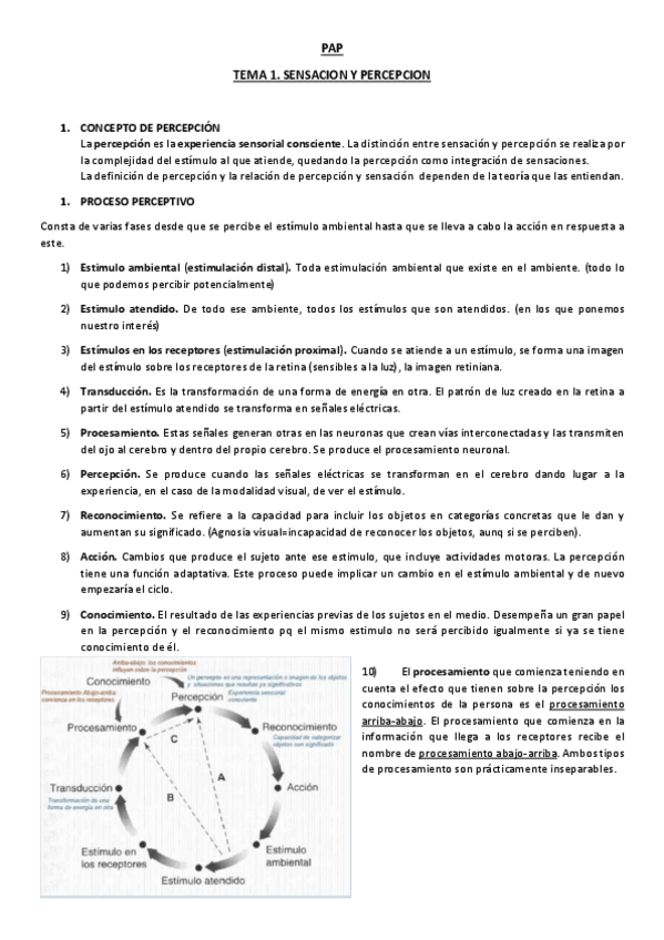 Miniatura del documento Temas-1-y-2-percepcion-PAP.pdf