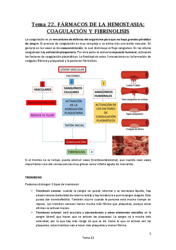 Miniatura del documento Tema 22. FÁRMACOS DE LA HEMOSTASIA. COAGULACIÓN Y FIBRINOLISIS.pdf