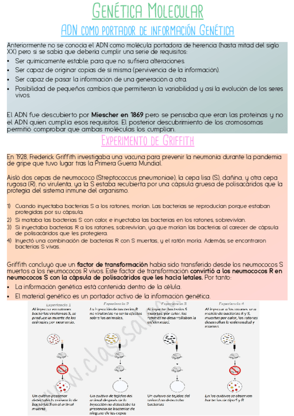Miniatura del documento Genetica-molecular.pdf