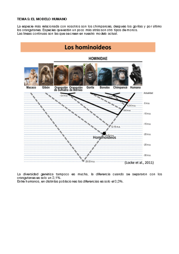 Miniatura del documento TEMA-5.pdf