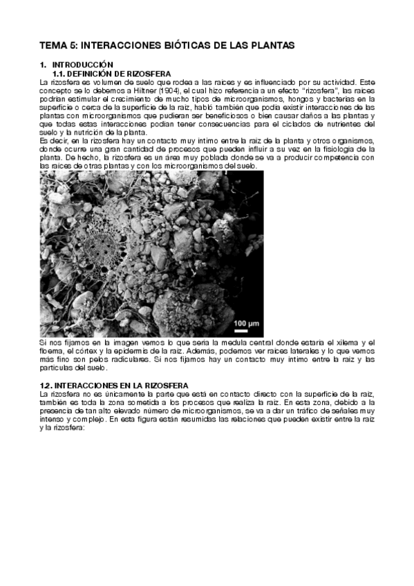 Miniatura del documento TEMA-5.pdf