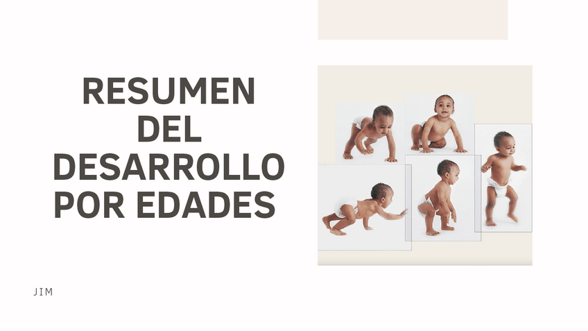 Miniatura del documento resumen-del-desarrollo-por-edades.pdf