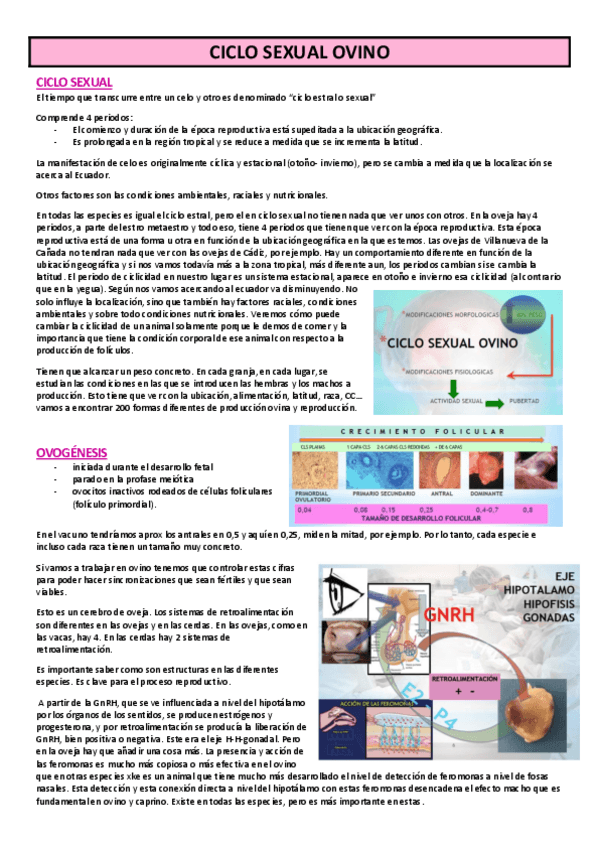 Miniatura del documento TEMA-7-CICLO-SEXUAL-OVINO.pdf