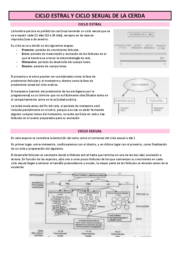 Miniatura del documento TEMA-8-CICLO-SEXUAL-CERDA.pdf