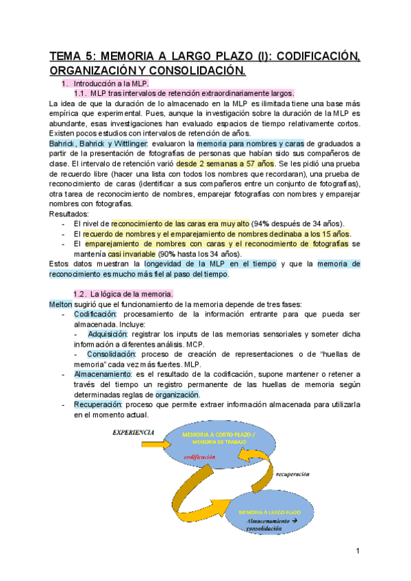 Miniatura del documento TEMA-5-MEMORIA-A-LARGO-PLAZO-I-CODIFICACION-ORGANIZACION-Y-CONSOLIDACION.pdf