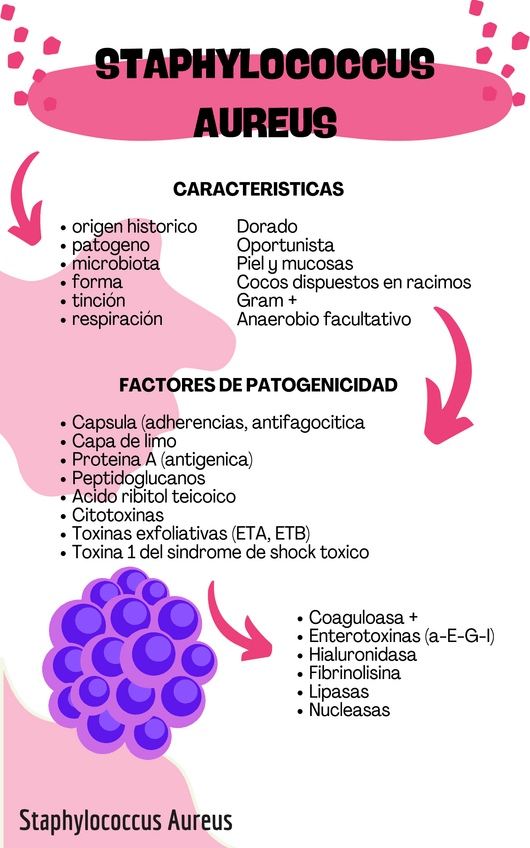 Miniatura del documento s.pdf