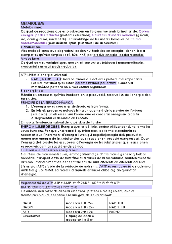 Miniatura del documento METABOLISME-.pdf