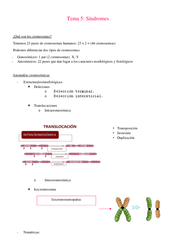 Miniatura del documento Tema-5-wuolah.pdf
