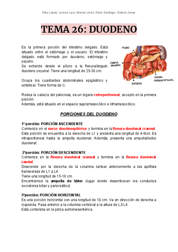 Miniatura del documento T26-duodeno.pdf
