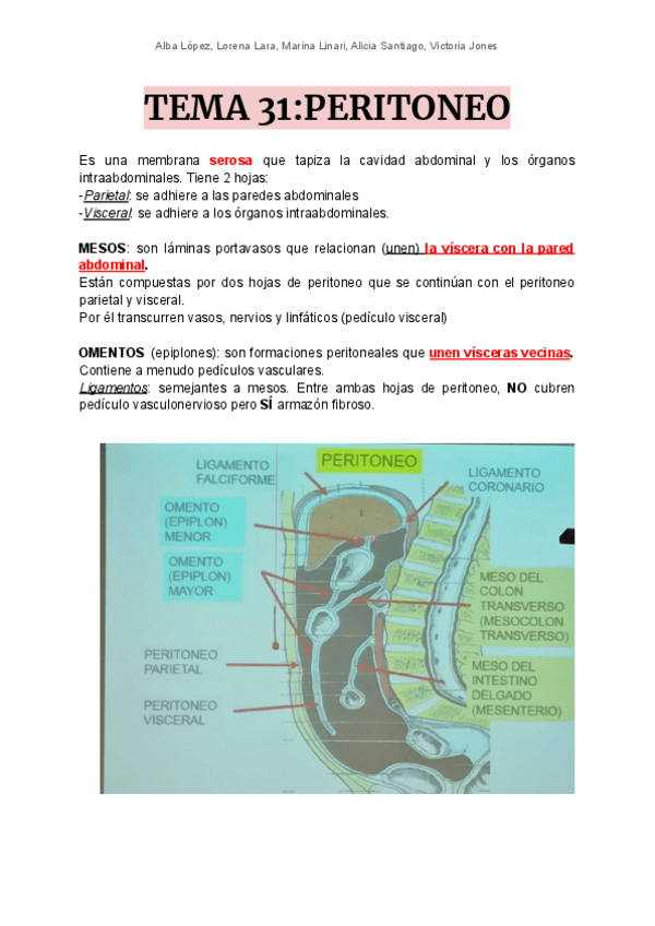 Miniatura del documento T31-peritoneo.pdf