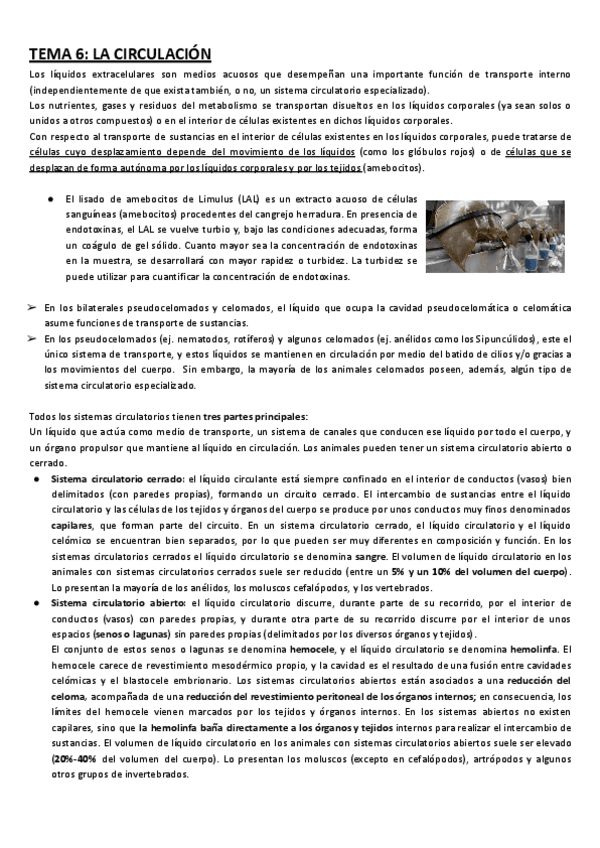 Miniatura del documento TEMA-6-ANIMAL-1.pdf