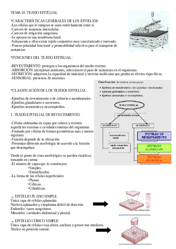 Miniatura del documento Biologia-Tema-10.pdf