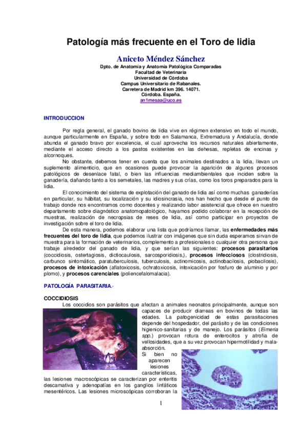 Miniatura del documento Patologias-mas-frecuentes.pdf