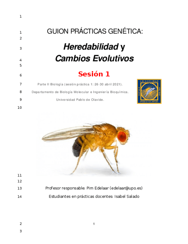 Miniatura del documento Guion-practica-virtual-Sesion-1-para-alumnado.docx