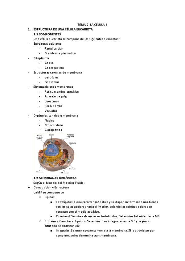 Miniatura del documento Tema-2-La-Celula-II.pdf
