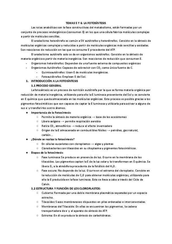 Miniatura del documento Tema-5-y-6-La-Fotosintesis.pdf