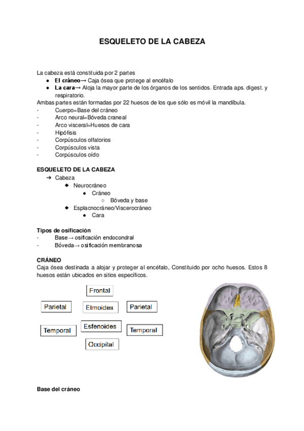 Miniatura del documento TEMA-31-33.pdf