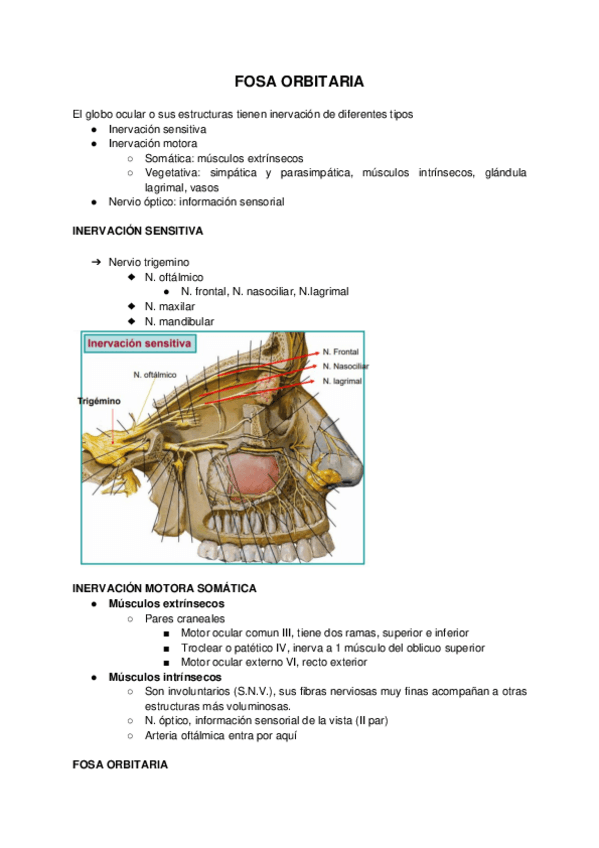Miniatura del documento TEMA-34.pdf