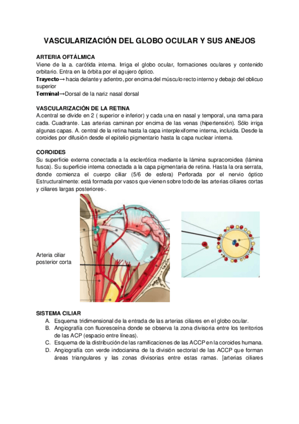 Miniatura del documento TEMA-53-54.pdf