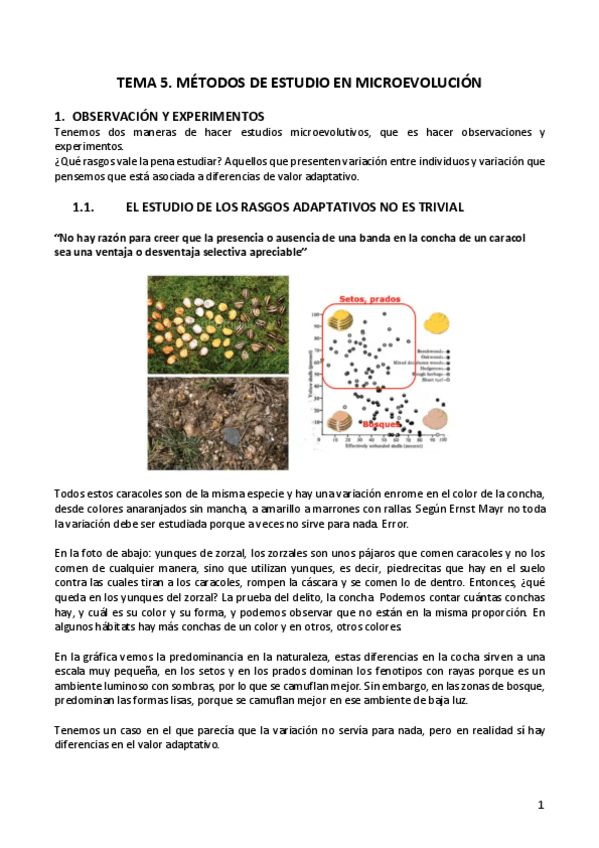 Miniatura del documento TEMA-5.pdf