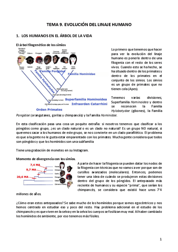 Miniatura del documento TEMA-9.pdf