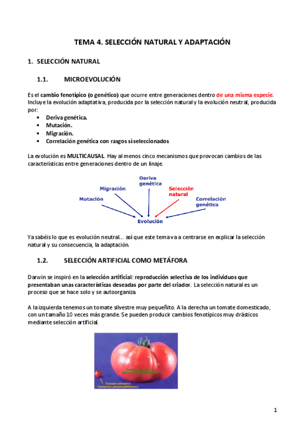 Miniatura del documento TEMA-4.pdf