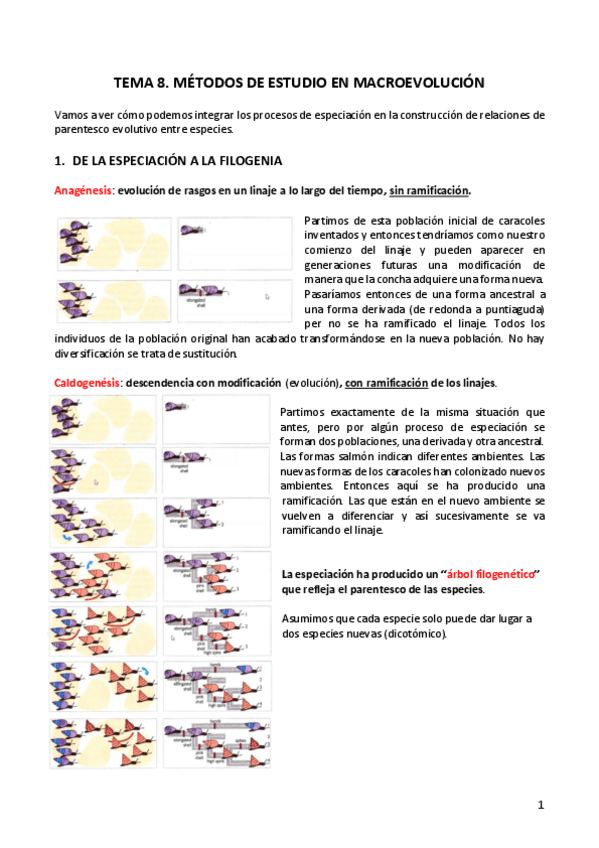 Miniatura del documento Tema-8.pdf