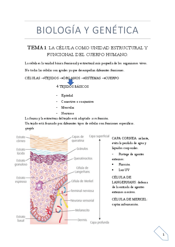 Miniatura del documento BIO-1nhd.pdf