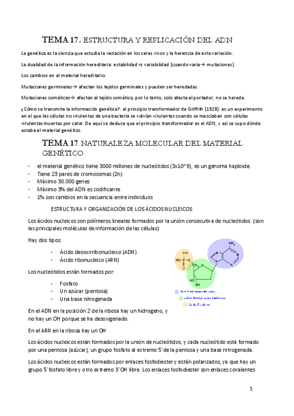 Miniatura del documento genetica.pdf