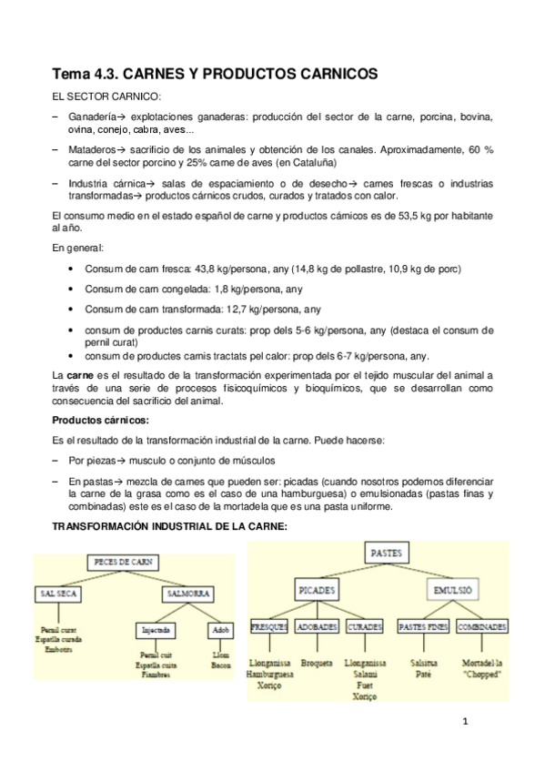 Miniatura del documento tercer-parcial-broma.pdf
