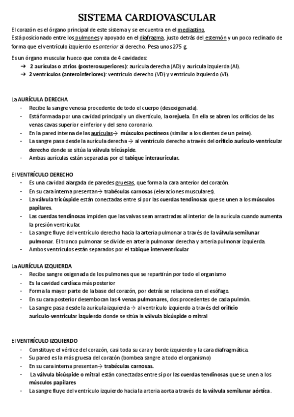 Miniatura del documento SISTEMA-CARDIOVASCULAR.pdf