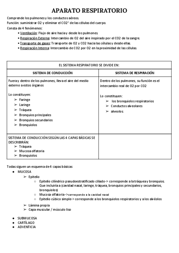 Miniatura del documento APARATO-RESPIRATORIO.pdf