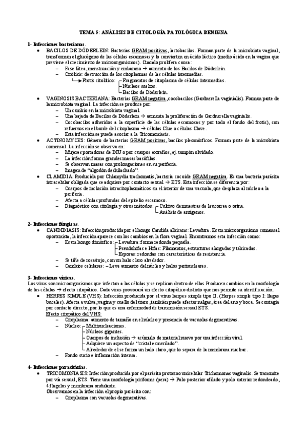 Miniatura del documento TEMA-5-gine.pdf