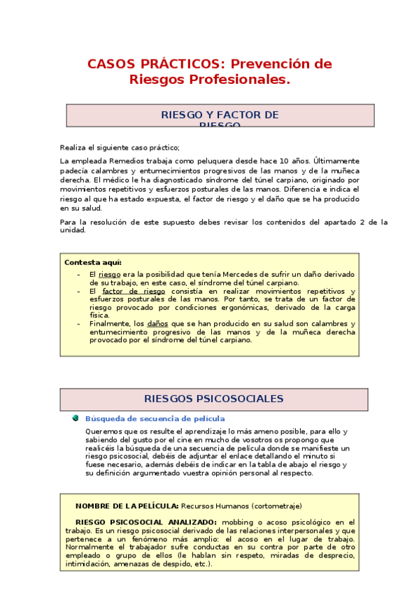Miniatura del documento CASOS-PRACTICOS-Prevencion-de-Riesgos-Profesionales.docx