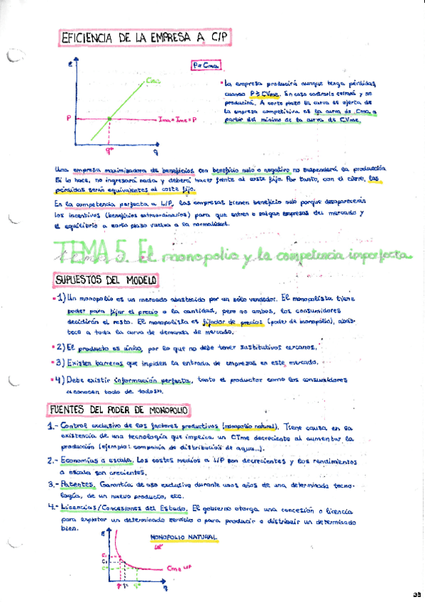 Miniatura del documento TEMA-5.pdf