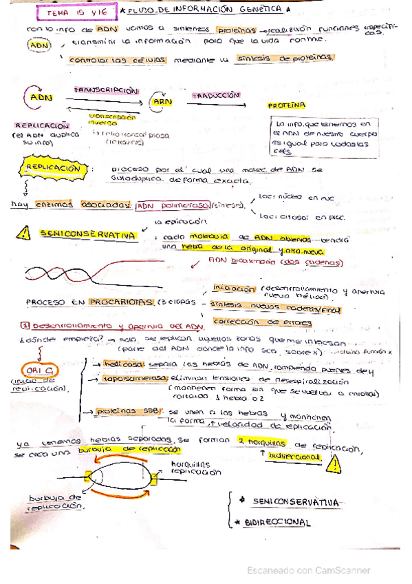 Miniatura del documento replicacion-transcripcion-traduccioj.pdf