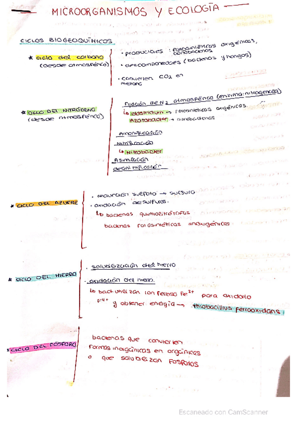 Miniatura del documento microorganismos-y-ecologia.pdf