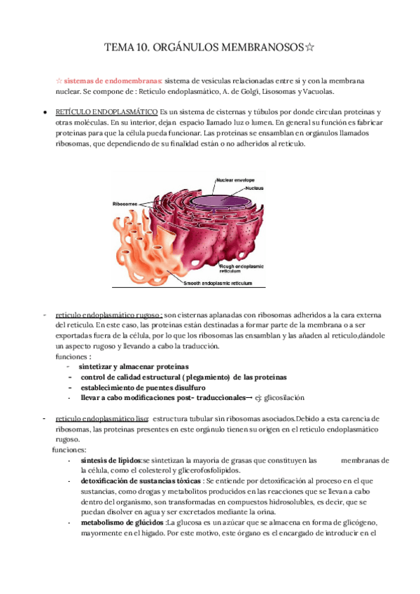 Miniatura del documento BIOLOGIA-TEMA10.pdf