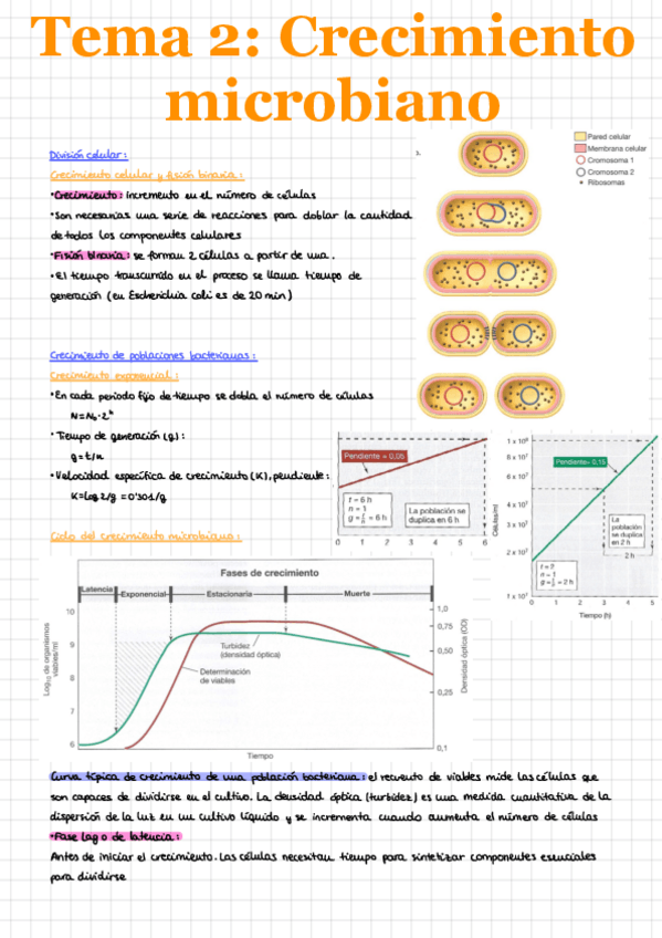 Miniatura del documento Microbiologia-T2.pdf