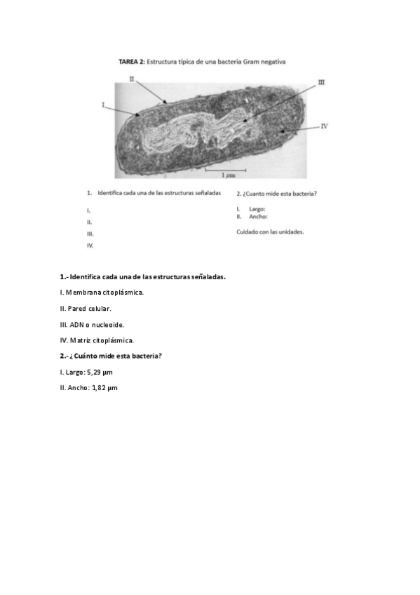 Miniatura del documento respuestas-tarea-2.pdf