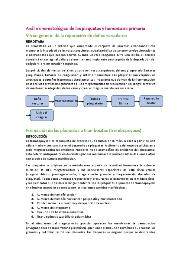 Miniatura del documento Hema-T8.pdf