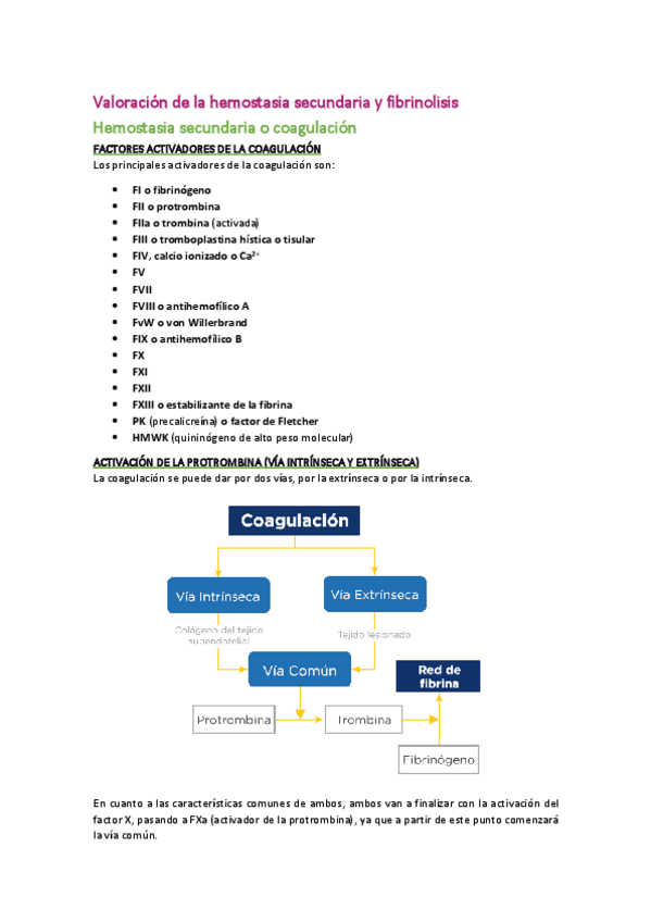 Miniatura del documento Hema-T9.pdf