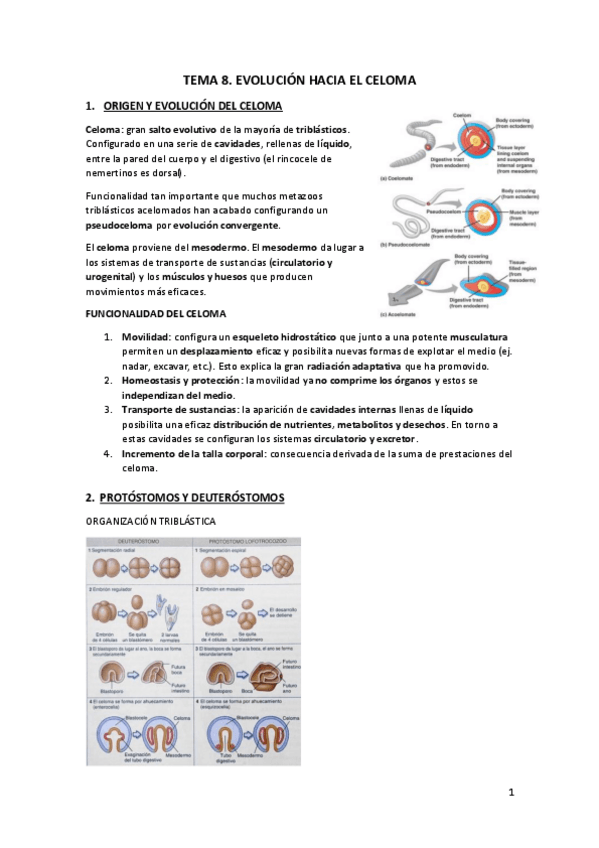 Miniatura del documento TEMA-8.pdf