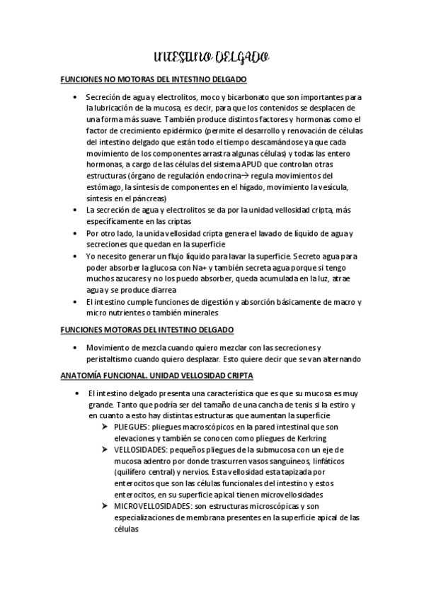 Miniatura del documento ID-IG-SISTEMA-APUD.pdf
