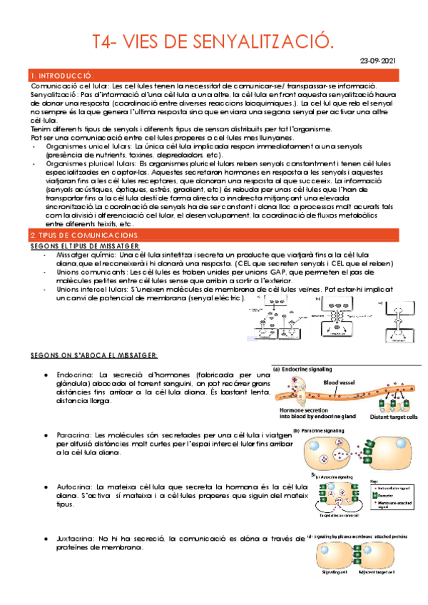 Miniatura del documento T4-VIES-DE-SENYALITZACIO.pdf